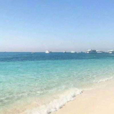 张雪峰追悼会将于本周六举行