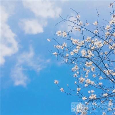 新添荣誉!莱姆电子荣获麦田能源...