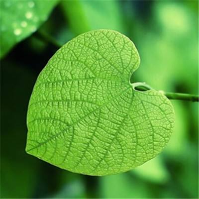 慕尼黑上海电子展热点追踪：跨越...